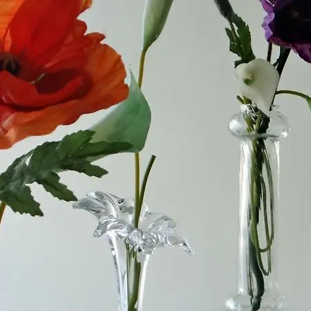 Meet Porto Matosinhos (Porto)