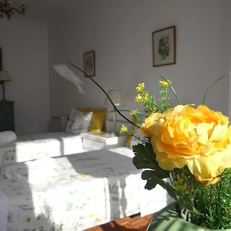 Meet Porto Apartment