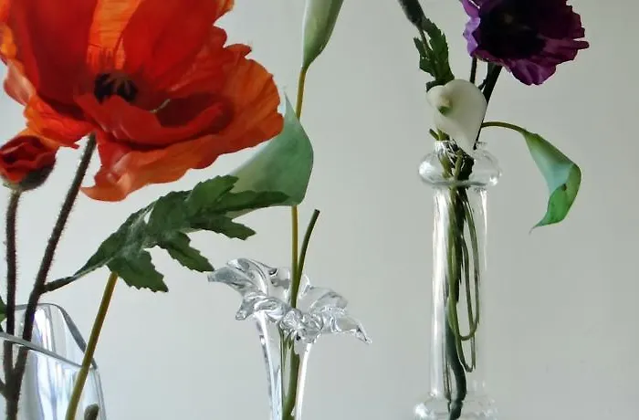 Meet Porto Matosinhos (Porto)